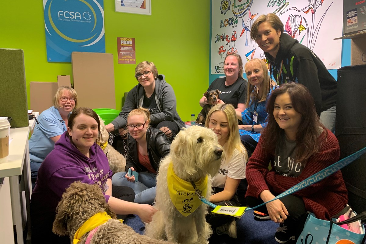 Therapets Lend a Paw to College Students During Exam Period   